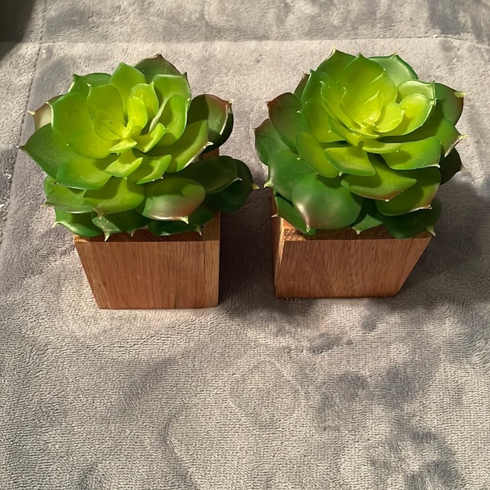 2 faux succulent planters in wood NWOT